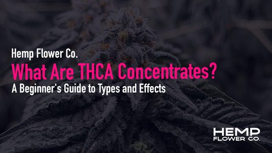 Discover THCA concentrates — types, effects, and how to use them. Your beginner's guide to diamonds, wax, rosin, and more. Shop top hemp concentrates online.