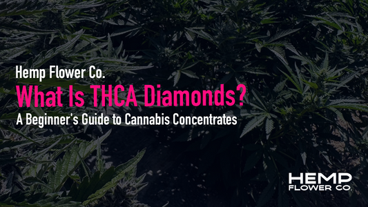 Discover what THCA diamonds are, how they're made, and how they compare to wax. A complete beginner's guide to this potent cannabis concentrate.