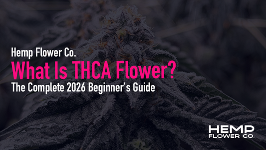 What is THCA flower? Complete 2026 beginner's guide breaks down the THCA cannabinoid, how it differs from THC, why it's legal, what to look for on lab reports,