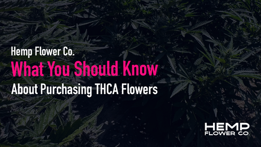 What You Should Know About Purchasing THCA Flowers