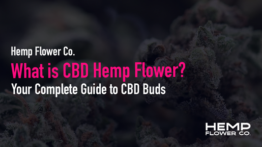What is CBD Hemp Flower?
