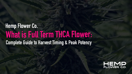 What is Full Term THCA Flower