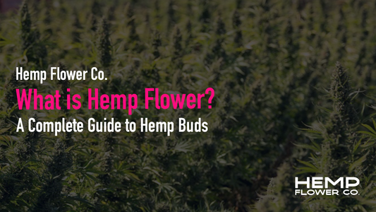 What is Hemp Flower?