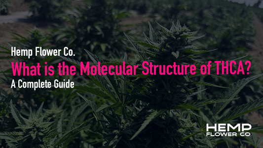 What is the Molecular Structure of THCA? A Complete Guide