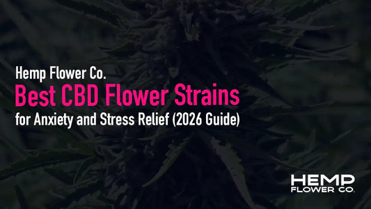 Discover the best CBD flower for anxiety and stress relief. Explore calming, high-CBD low-THC strains rich in linalool and limonene for non-intoxicating daytime relaxation.