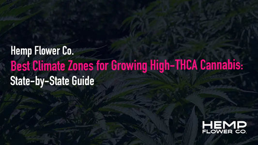 Best Climate Zones for Growing High-THCA Cannabis