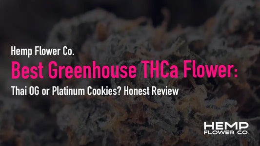 Best Greenhouse THCa Flower