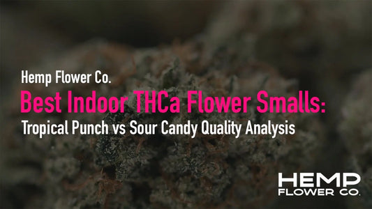 Best Indoor THCa Flower Smalls