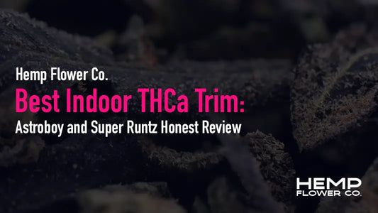 Astroboy and Super Runtz Honest Review