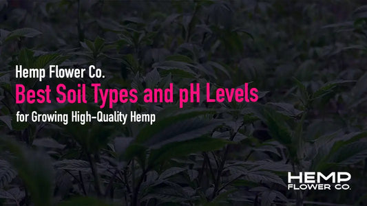 Discover the best soil types & pH levels for growing potent THCA hemp. Learn amendments, testing tips & how Oregon terroir shapes top-quality flower.