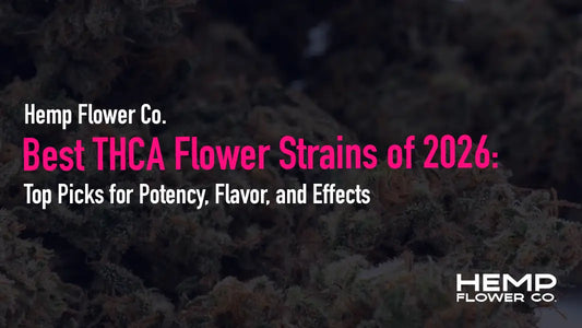 Looking for the best THCA flower strains of 2026? Discover top picks for potency, flavor, and effects.