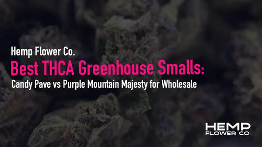 Compare Candy Pave and Purple Mountain Majesty THCA greenhouse smalls for wholesale — bulk pricing, bag appeal, turnover trends, and pre-roll pairing.