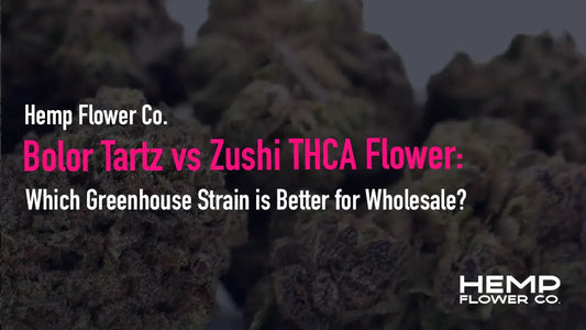 Bolor Tartz vs Zushi THCA Flower