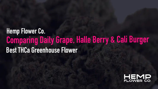 Best THCa Greenhouse Flower
