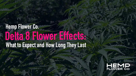Delta 8 Flower Effects