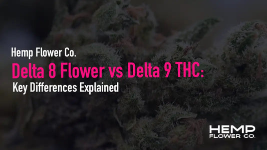 Delta 8 Flower vs Delta 9 THC