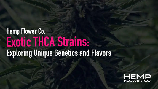 Exotic THCA Strains