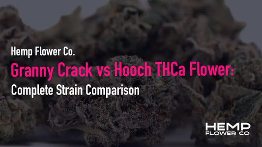 xGranny Crack vs Hooch THCa Flower: