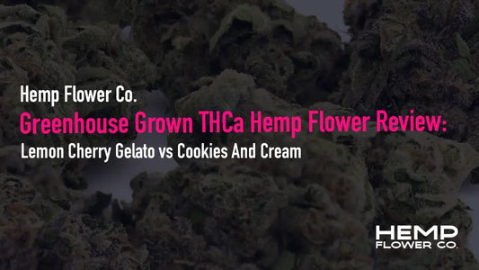 Greenhouse Grown THCa Hemp Flower Review