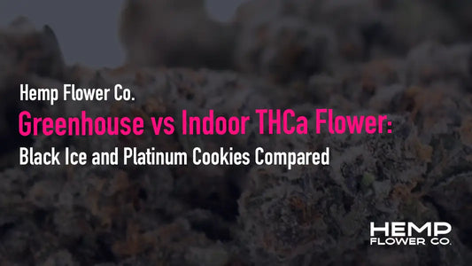 Greenhouse vs Indoor THCa Flower