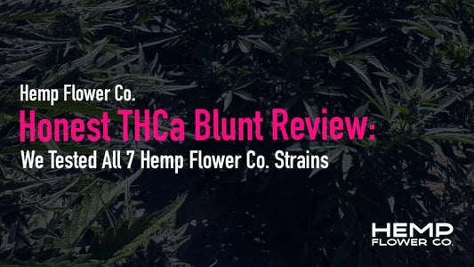 We smoked all 7 Hemp Flower Co. THCa blunt strains and rated each on flavor, burn, potency, and ash. Read our full THCa blunt review to find your perfect match.