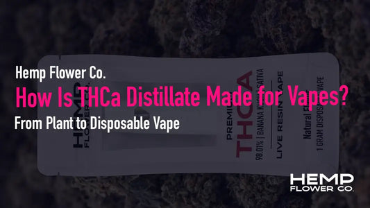 A white and black labeled thca disposable vape cartridge from hemp flower co with banana kush flavor and 98.07 purity