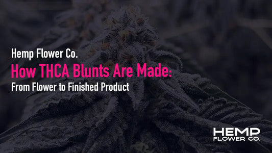 How THCA blunts are made: cultivation, curing, rolling, and lab testing—every step explained. Shop THCA blunts made in-house.