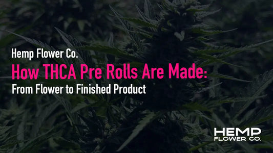 How THCA Pre Rolls Are Made