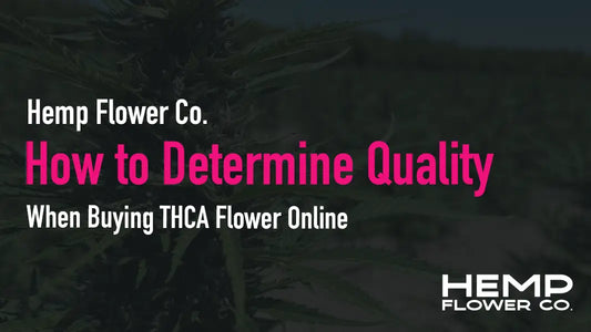 How to Determine Quality When Buying THCA Flower Online