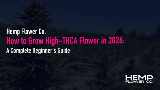 Learn how to grow THCA flower in 2026 — genetics, flowering, harvest & compliance testing explained. Or skip ahead to lab-tested THCA flower.