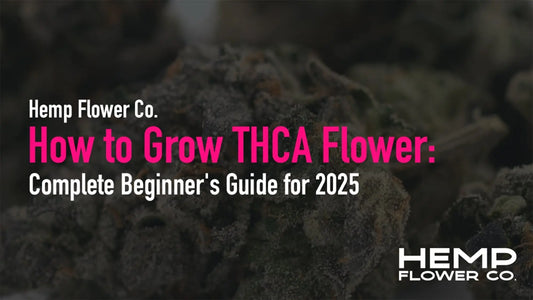How to Grow THCA Flower