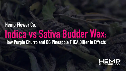 Indica or sativa See how Purple Churro and OG Pineapple THCA budder wax differ in terpenes, effects, and use cases — and find out which one fits your lifestyle.
