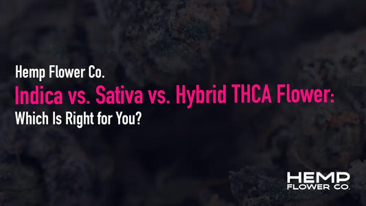 Indica vs. sativa vs. hybrid THCA flower — which is right for you? Compare effects and find your best fit.