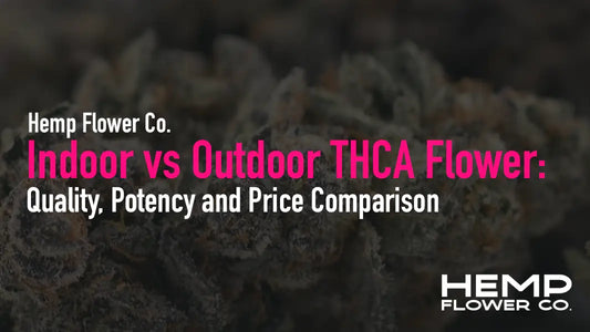 Indoor vs Outdoor THCA Flower: