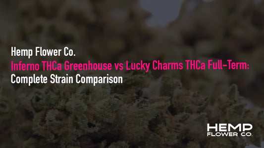 Inferno THCa Greenhouse vs Lucky Charms THCa Full-Term: 