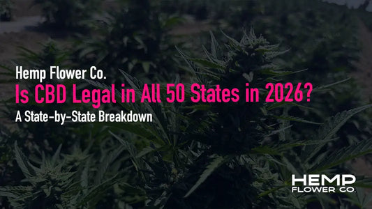 This comprehensive guide covers federal CBD law, state-by-state differences, hemp flower restrictions, and what you need to know before buying.