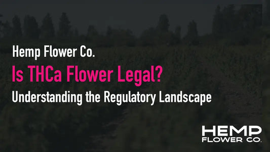 Is THCa Flower Legal? Understanding the Regulatory Landscape