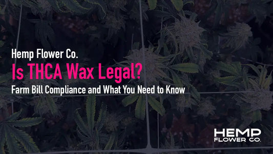 Is THCA wax legal in your state? Learn how the 2018 Farm Bill applies to THCA concentrates, which states have restrictions, and how to verify a product is compliant.