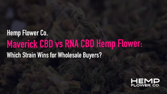 Maverick CBD vs RNA CBD Hemp Flower: compare cultivation, terpenes, bag appeal & price-per-pound to find the best wholesale CBD flower for your shelf in 2026.