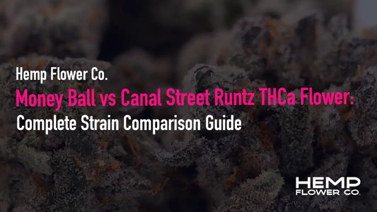 Money Ball vs Canal Street Runtz THCa Flower