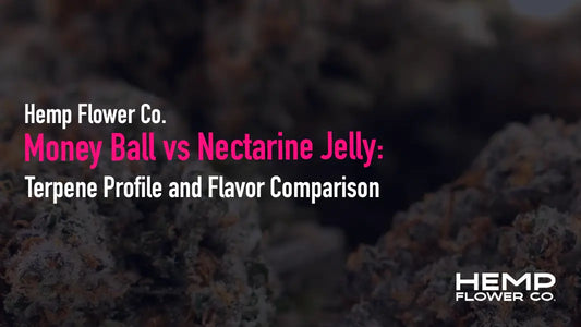 Money Ball vs Nectarine Jelly