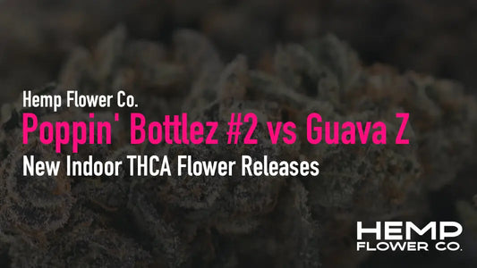 Poppin' Bottlez #2 vs Guava Z