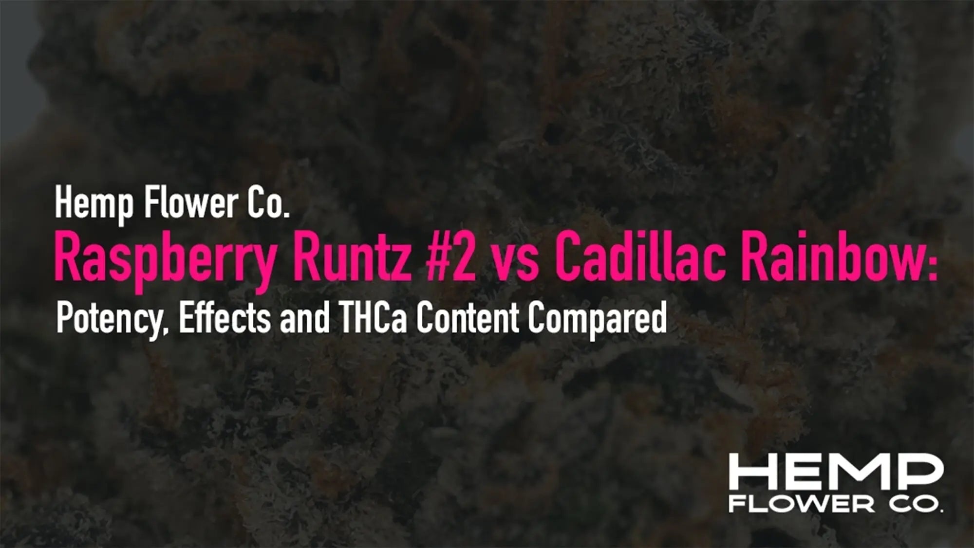 California Clear Raspberry Runtz Raspberry Runtz #2 vs Cadillac Rainbow – Hemp Flower Co.