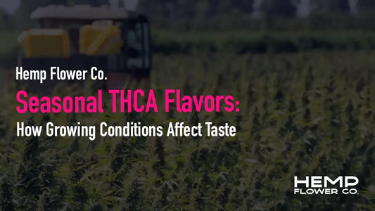 Seasonal THCA Flavors