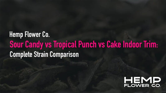 Sour Candy vs Tropical Punch vs Cake Batter Indoor Trim