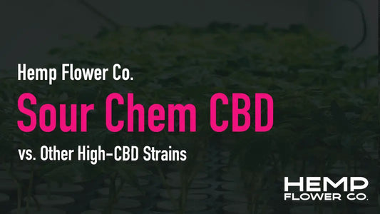 Sour Chem CBD vs. Other High-CBD Strains
