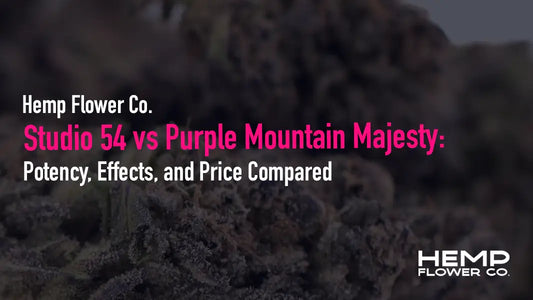 Studio 54 vs Purple Mountain Majesty