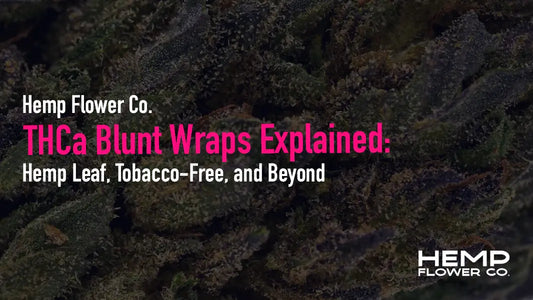 Discover the differences between hemp leaf, chamomile, cacao, and tobacco-based blunt wraps for THCa flower.