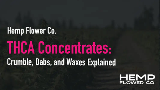 THCA Concentrates: Crumble Dabs and Waxes Explained