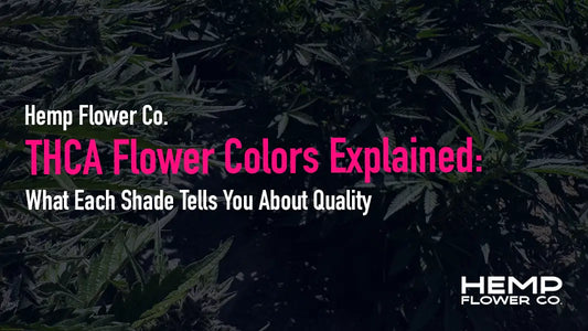 This guide breaks down every shade — green, purple, orange, white, and more — and what each color tells you about quality, potency, and freshness.